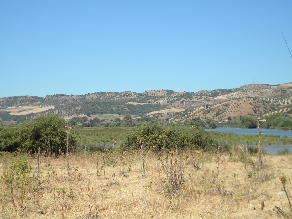 DSCN2592 .JPG